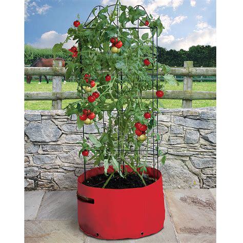 Växtstöd tomater